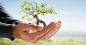 Retirement Planning